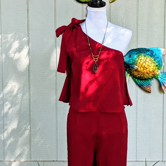 Boutique Pants - Gorgeous Garnet One shoulder Jumpsuit